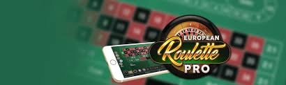 579king Live Casino